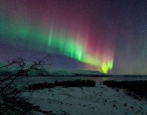 Experience the wonder of the Northern Lights on our guided evening tour, with expert photography tips