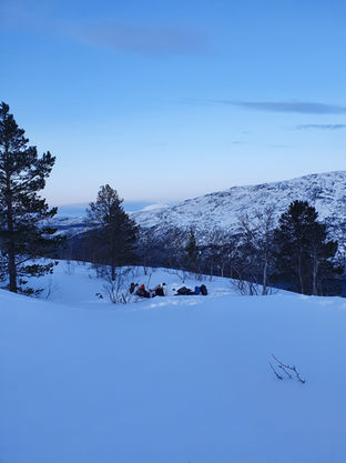 Snowshoeing polar night