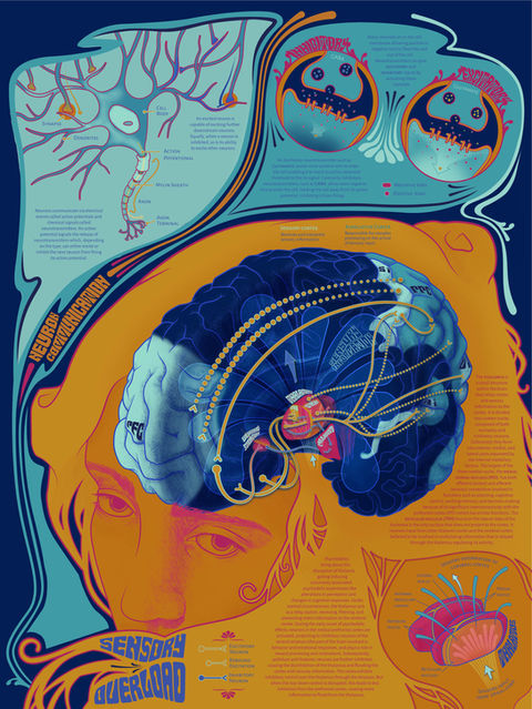 Infographic poster on sensory overload from psychedelic use