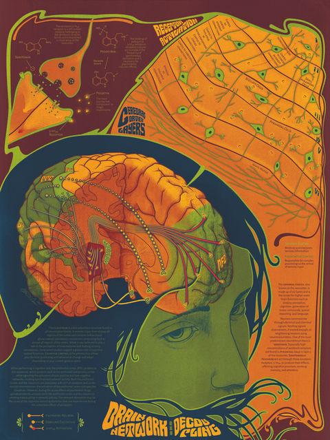 Infographic poster on brain network decoupling from psychedelic use