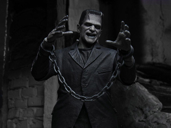 Miniatura: NECA universal monsters - Frankenstein