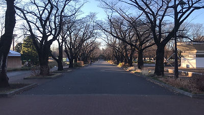 府中の森公園.jpg