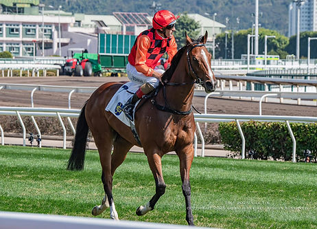 飛躍成就 
QUICK CONTRIBUTION