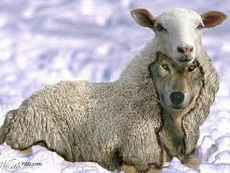 Beloved...Beware!