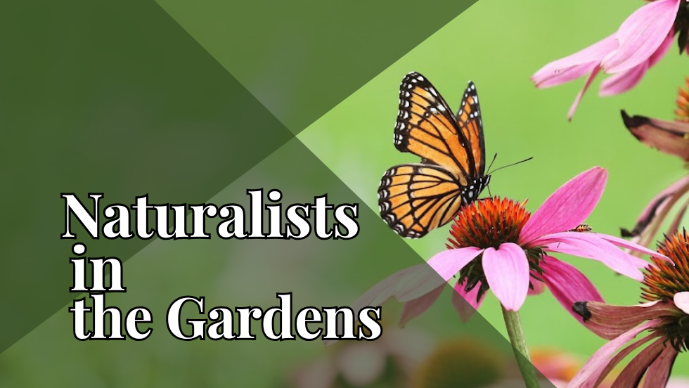 Wisconsin Native Plants Short Course and Plant Walk