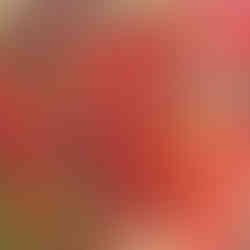 A close up of a red oak leaf