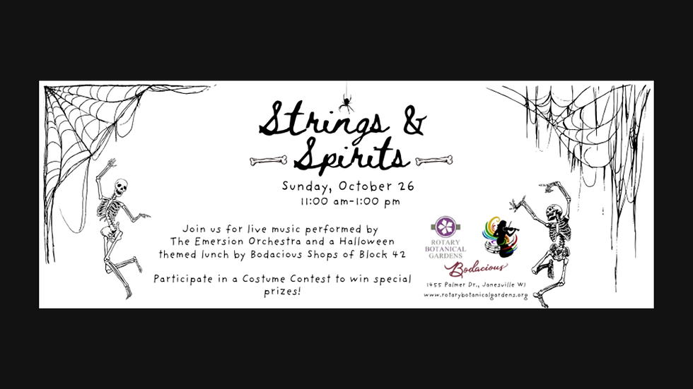 Strings and Spirits Event
