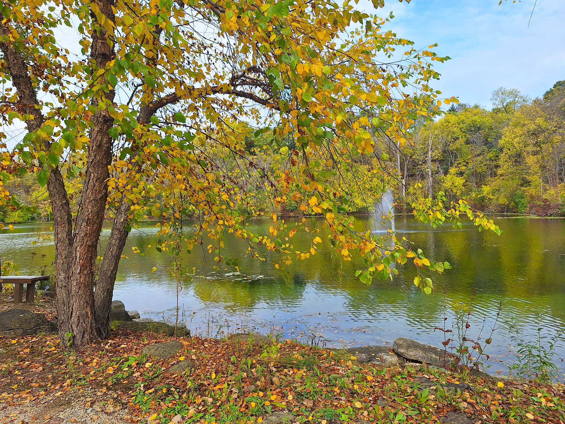 Fall trees against a pond with a fountain shooting water from the center of the pond in the distance