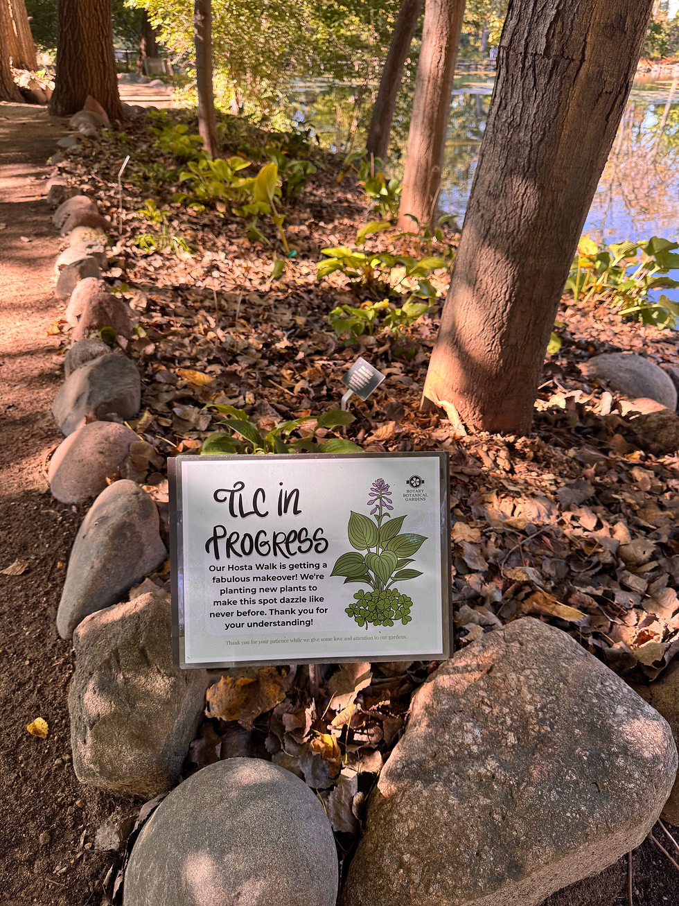 From Hosta Hollow to Hosta Walk