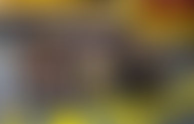 South Carroll 1A State Dual Meet Champs