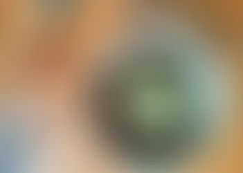 5 idées de bowls protéinés végan à la sortie de l'hiver