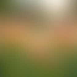 Empowering Survivors: Transforming Systems for Better Outcomes