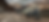 Himalayan with mountains.png