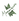 Monarques_vert(2).png