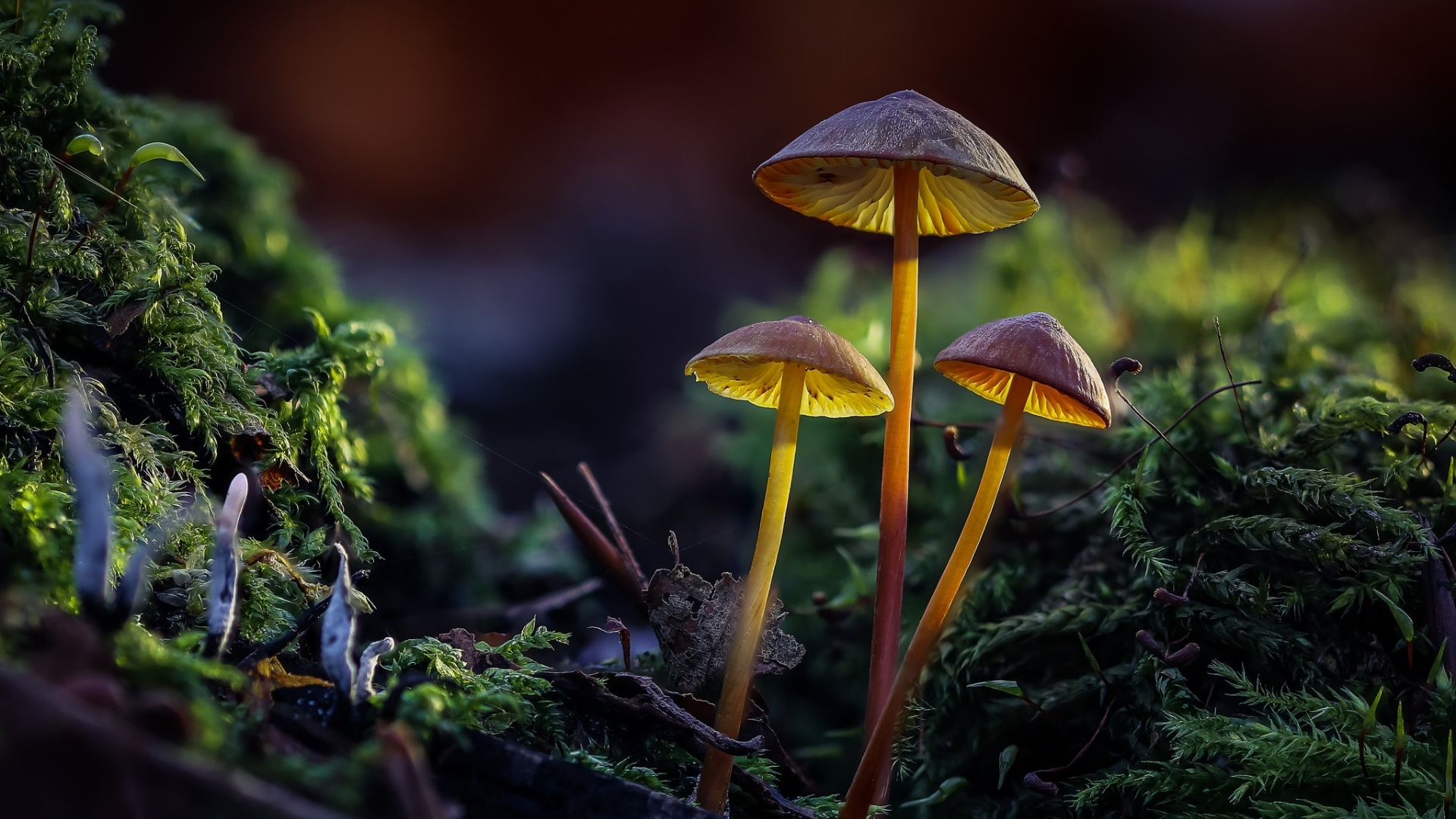 Science and Tech News Summaries: (4/11-4/18) content media