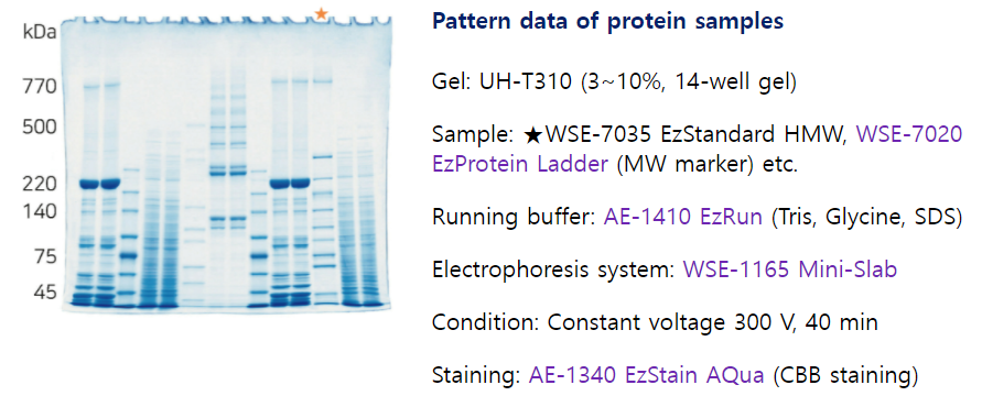 縮圖：WSE-7035 EzStandard HMW