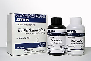 WSE-7120 lumi plusS.jpg