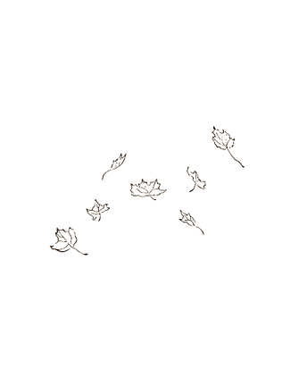 image-removebg-preview (31).png