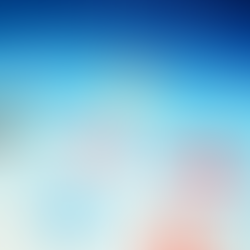 The Role of Social Media in Modern Public Relations