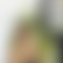 Influencer Marketing and Public Relations: Where the two overlap and how PR students can get ahead