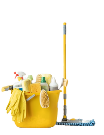 Cleaning Supplies_edited.png