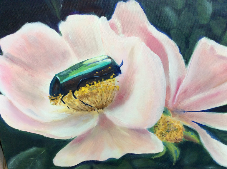 114. The Dog Rose - Eglantier
