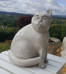 68. Cat - Chat