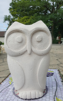 65. Owl - Hibou