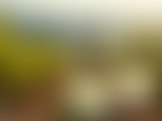 Discovering Muscadet: The perfect wine pairings and local wineries near Nantes