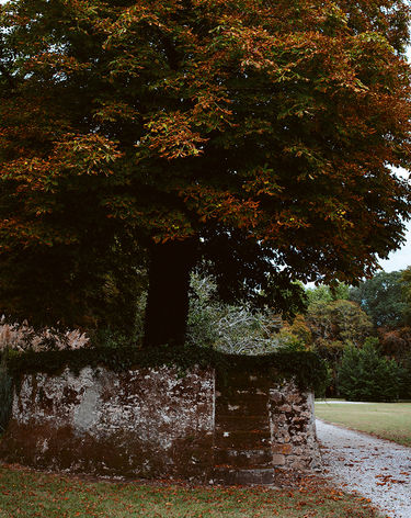 A old brick wall which leads into the wood shed.
