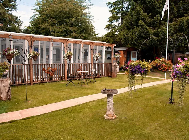 Celtic Cattery Cattery Forest Of Dean Gl17 Uk