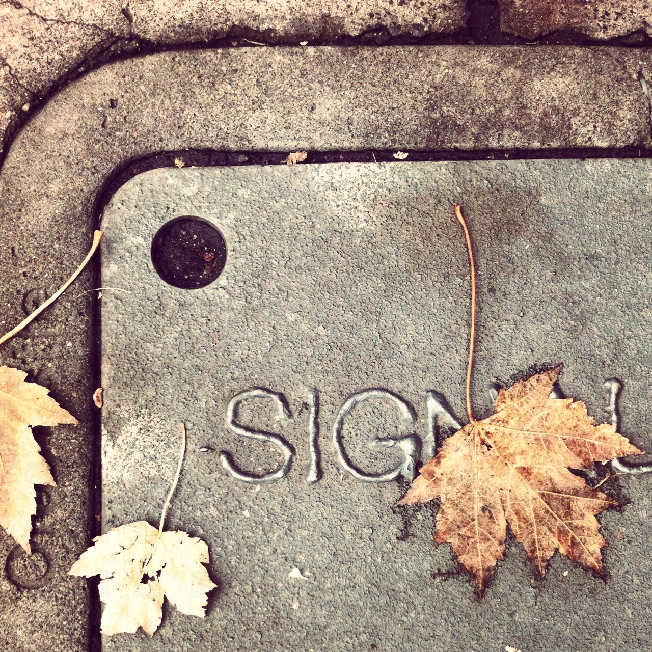sig_quickandtumble_sirid_boyer