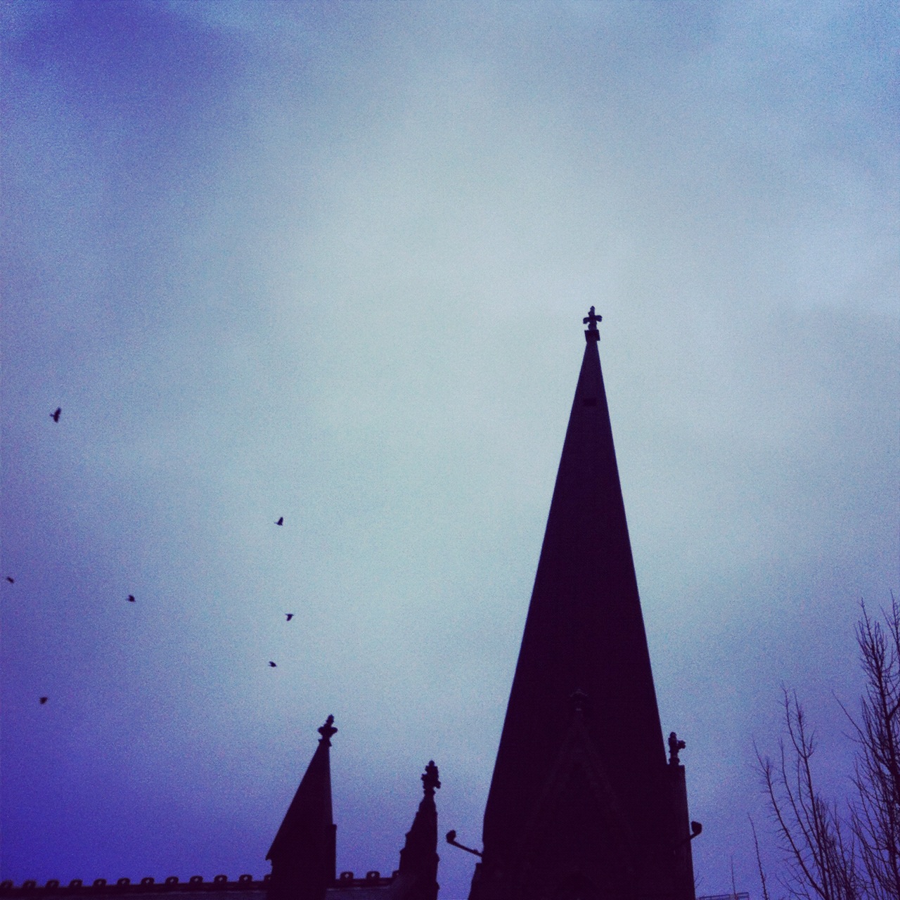 quickandtumble_sigrid_boyer_steeple