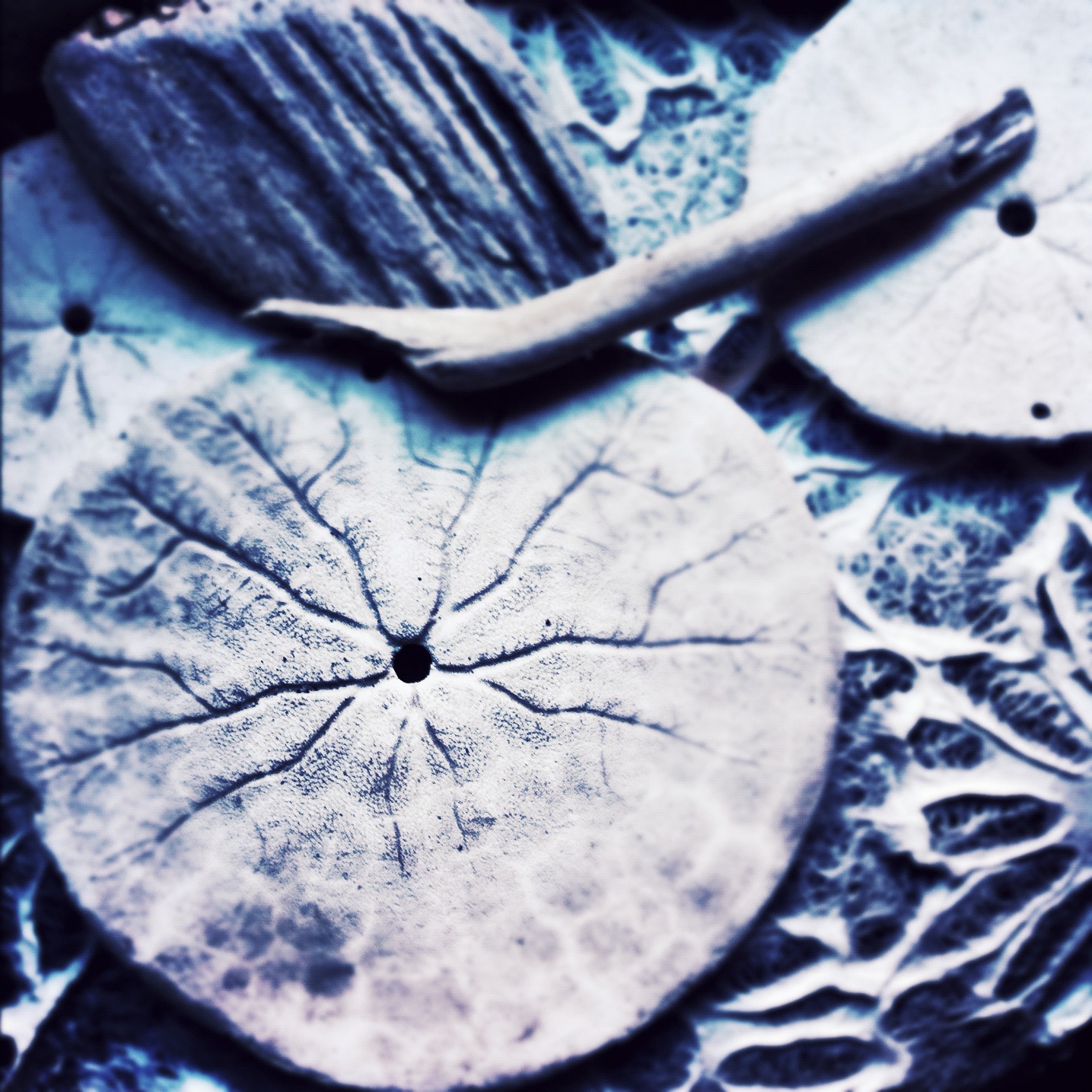 quickandtumble_sigrid_boyer_2_edited
