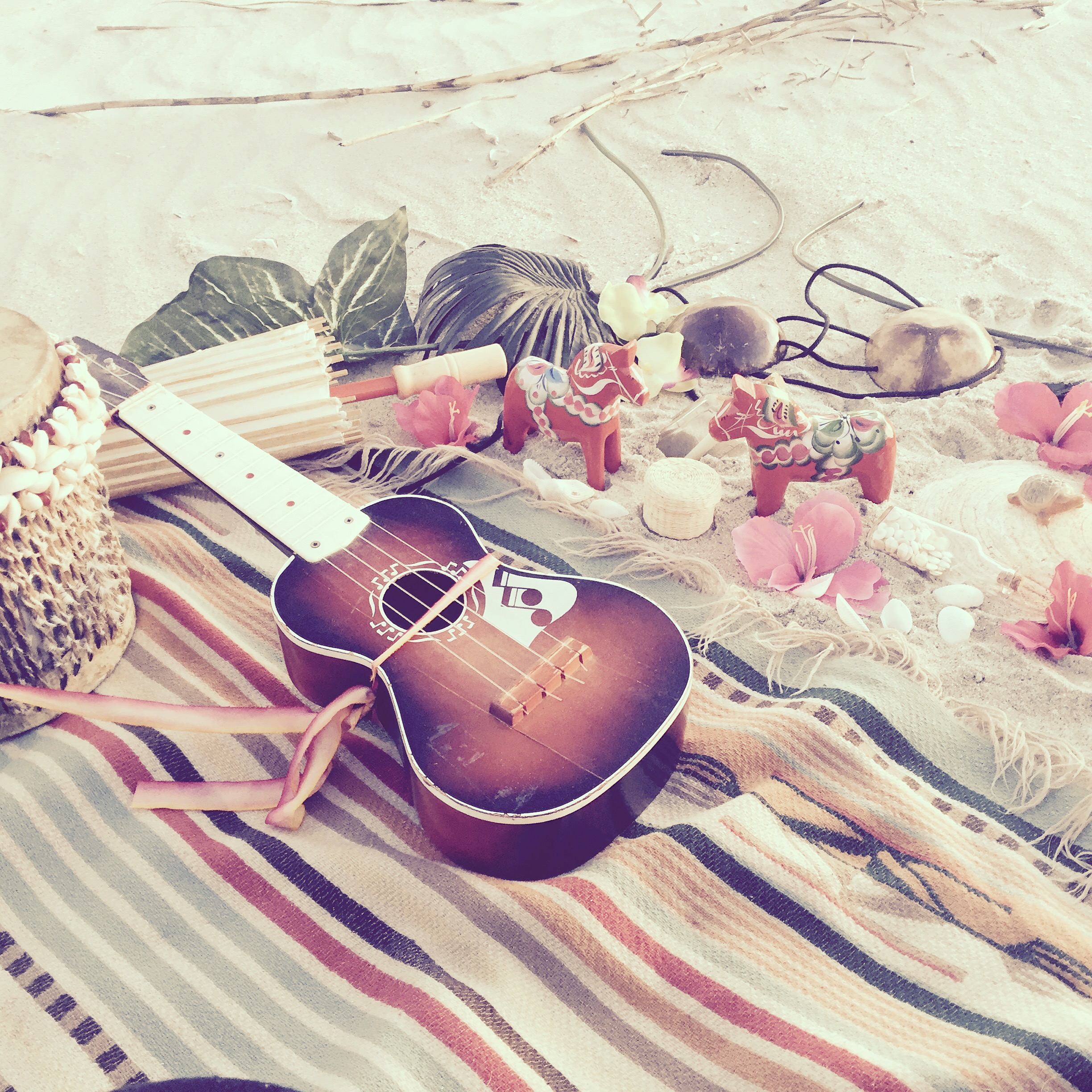 american_tumbleweed_sigrid_boyer_beaches2