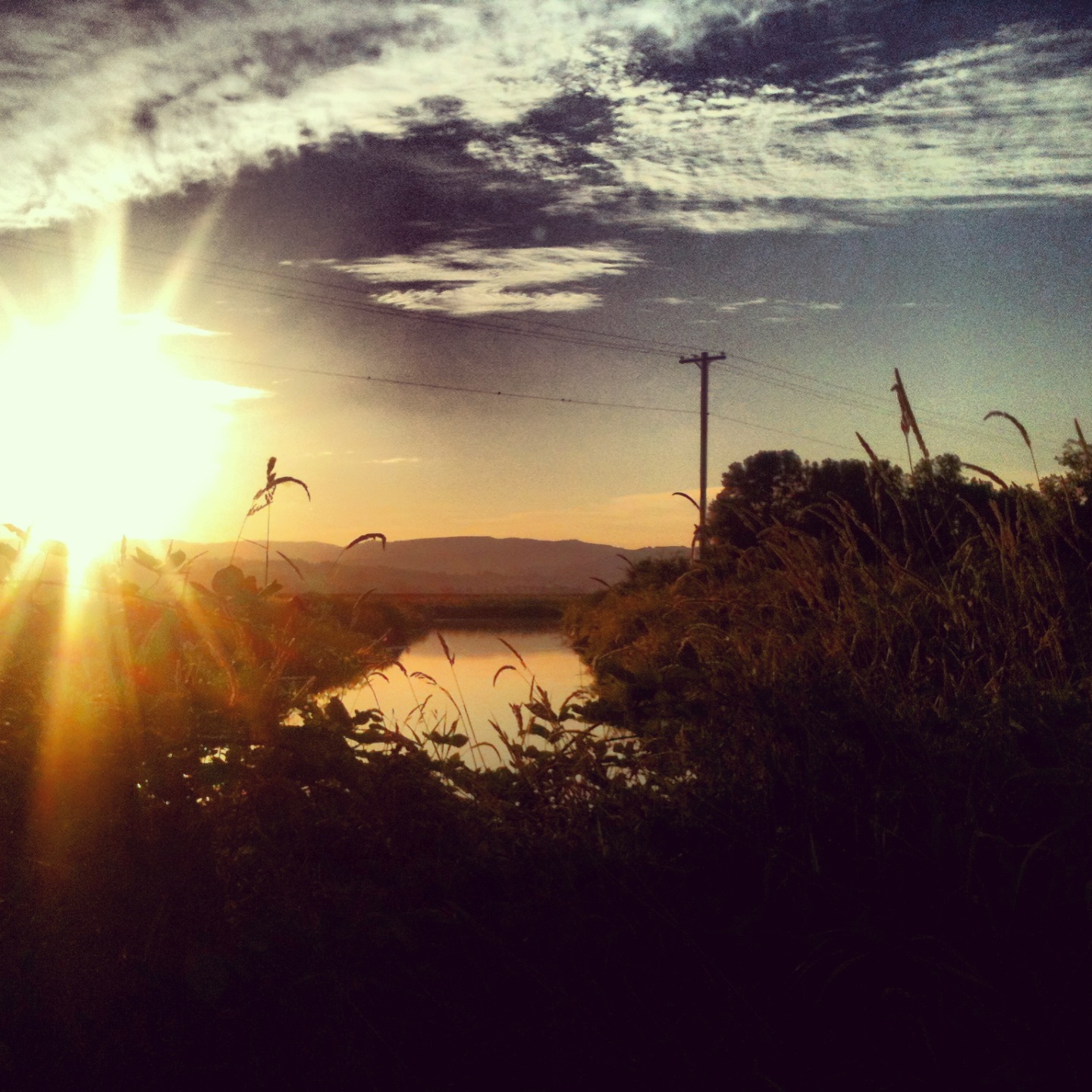 sigrid_boyer_sauvie_island