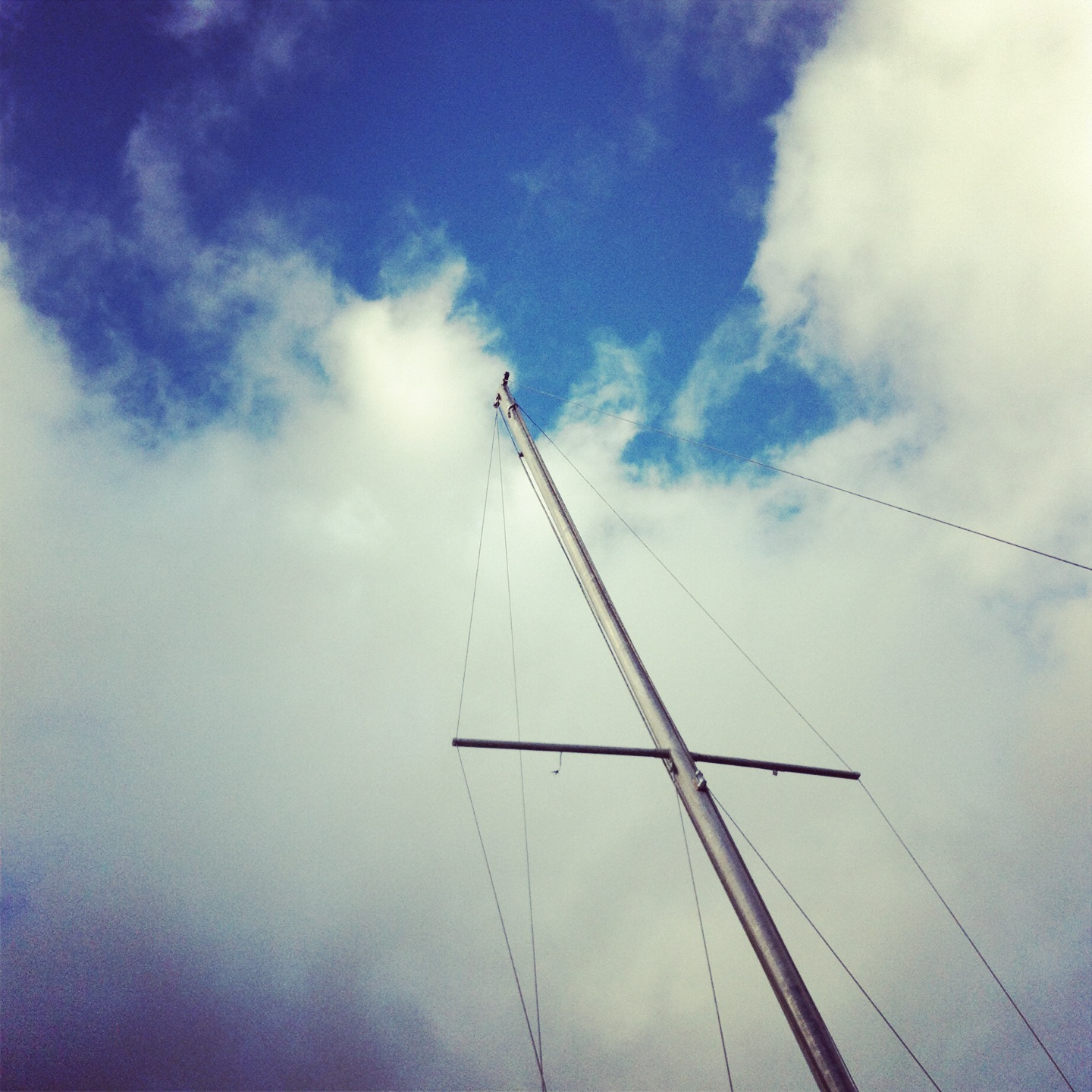 sigrid_boyer_sail