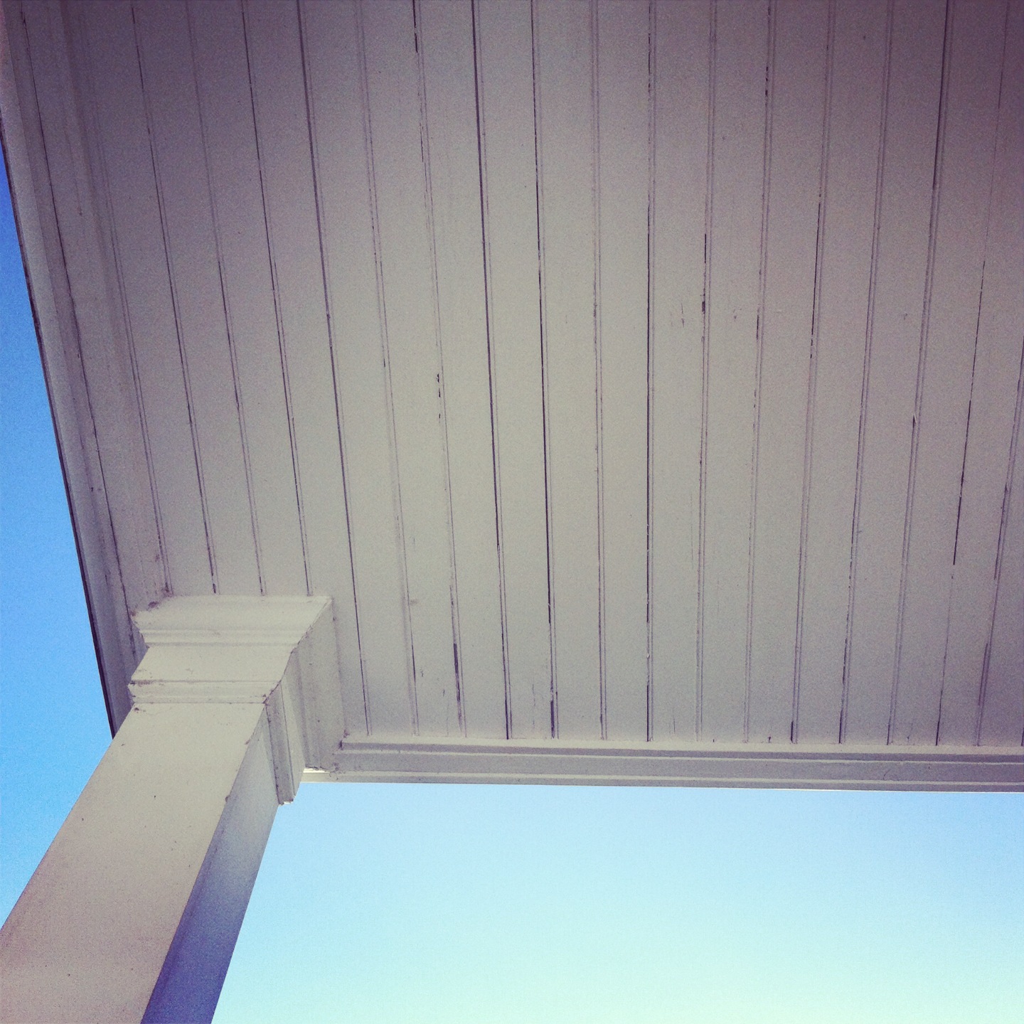 american_tumbleweed_sauvie_sky