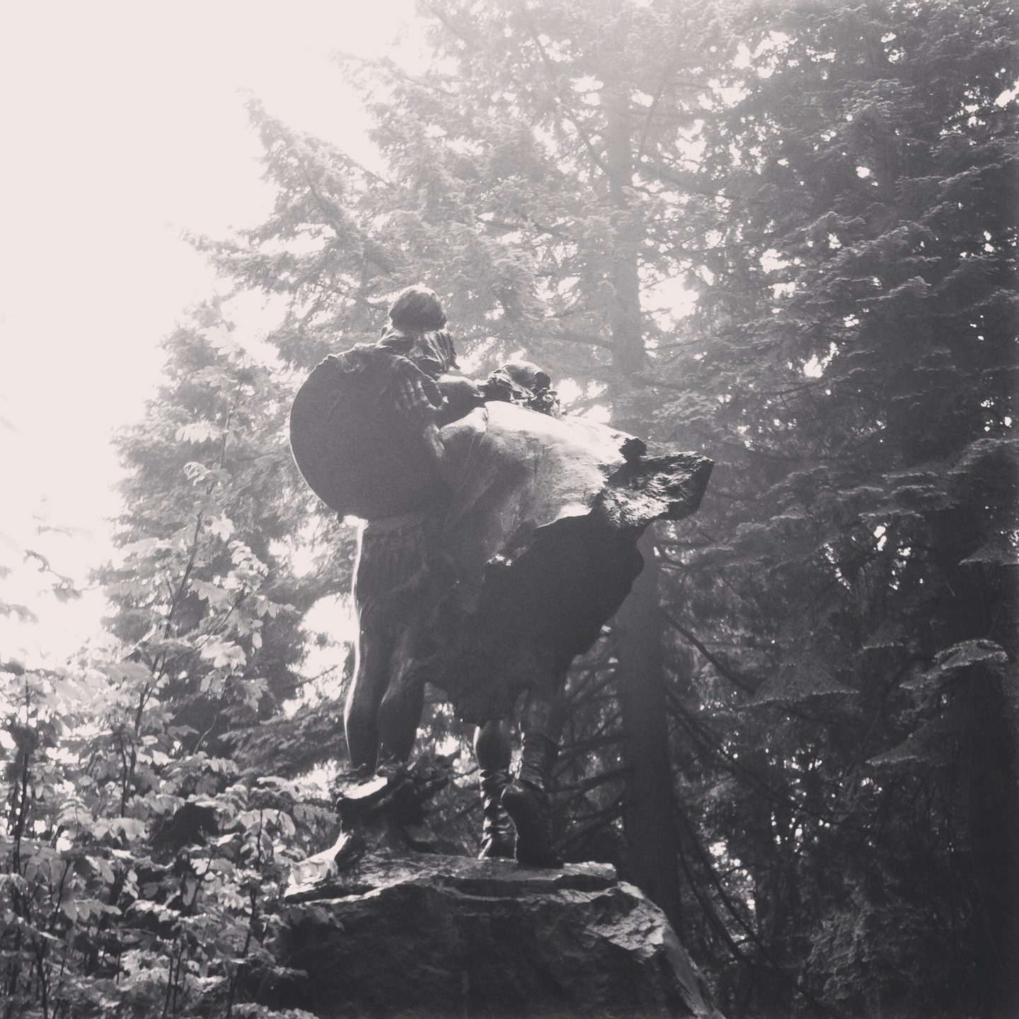 sigrid_boyer_forest_park