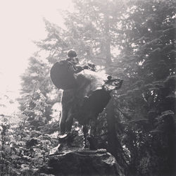 sigrid_boyer_forest_park