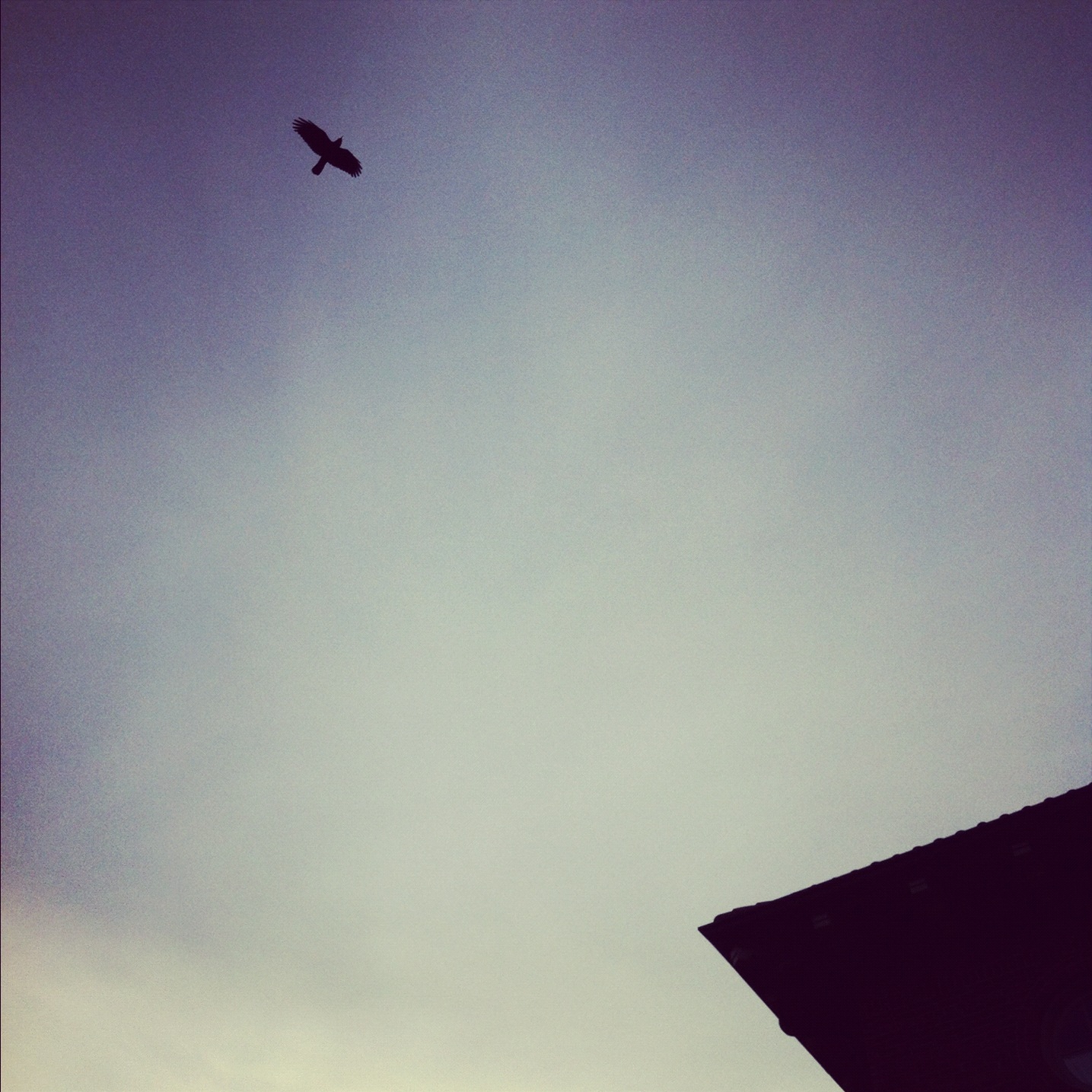 quickandtumble_sigrid_boyer_sky