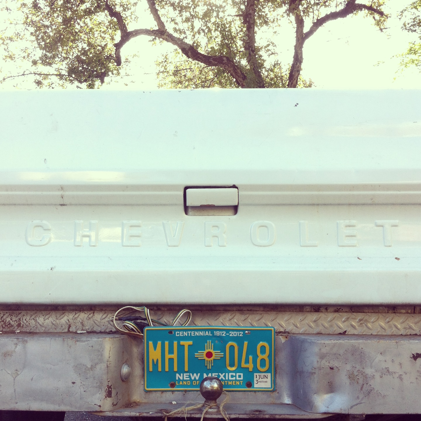 sigrid_boyer_white chevy