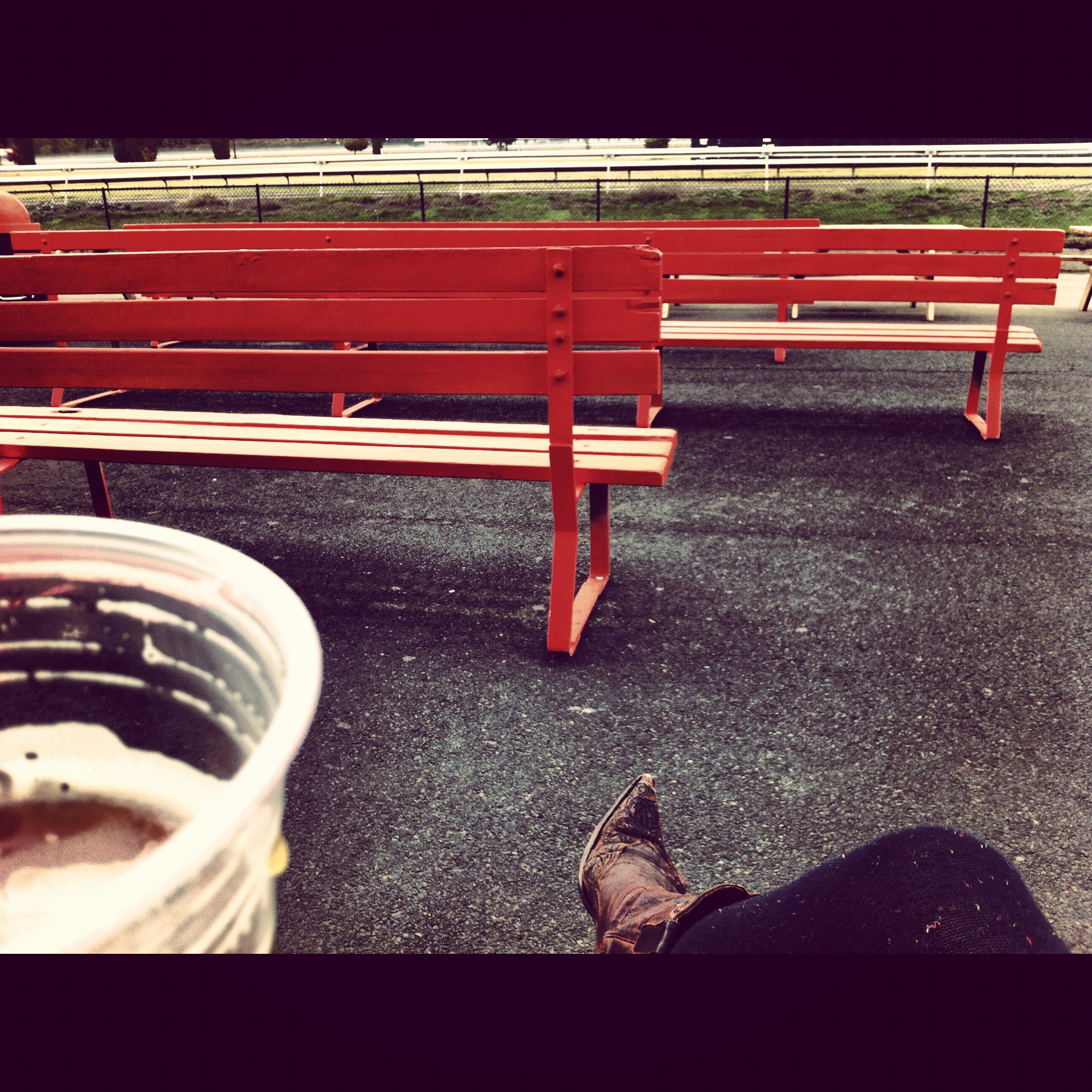 portland meadows_sigrid_boyer_1