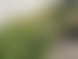 夏といえば草刈でしょぉ！😄