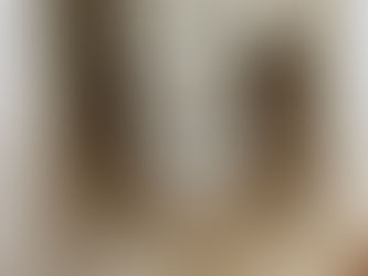 トイレをめっちゃ綺麗に... あーんど お片付けっ！😀