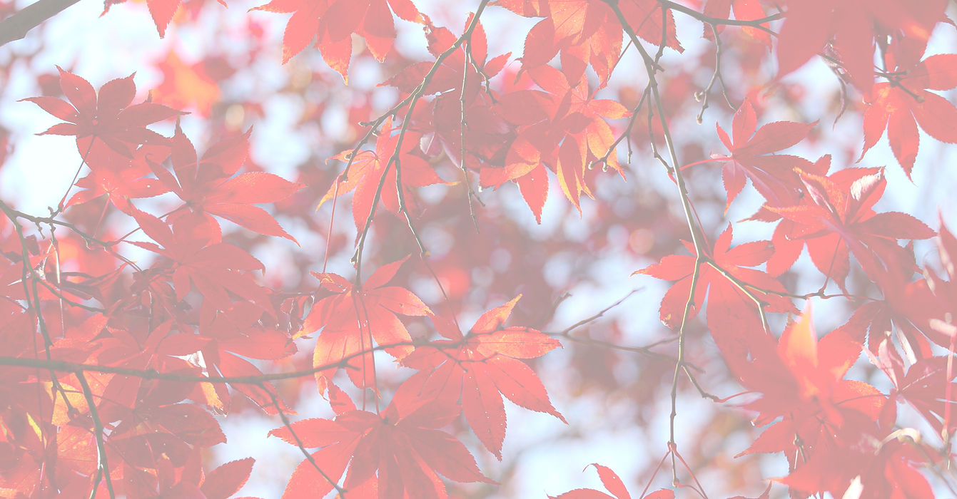 Autumn is the best season for me_edited.