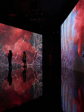 Northwestern University in Qatar's Media Majlis Museum, in partnership with ACMI, announces ‘All That Is Unseen’ by Marshmallow Laser Feast—the acclaimed artist collective's first major exhibition
