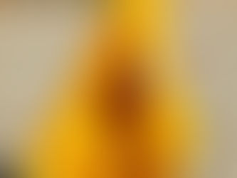 JOHANNA ORTIZ LAUNCHES SS23 CAYATENA COLLECTION