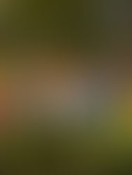 Qatari Artist Unveils New Minneapolis–St. Paul Mural Inspired by Legacy of Qatar-USA 2021 Year of Culture