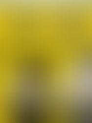 Keeta Qatar and Batabit Motorcycle Club Join Forces to Champion Road Safety Through “My Ride. My Responsibility” Initiative